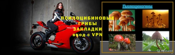 ешки Арсеньев